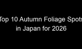 Top 10 Autumn Foliage Spots in Japan for 2026