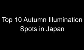 Top 10 Autumn Illumination Spots in Japan
