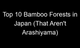 Top 10 Bamboo Forests in Japan (That Aren’t Arashiyama)