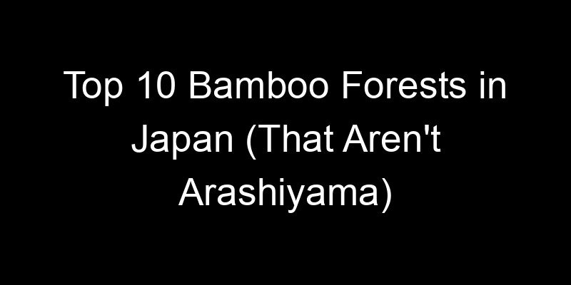You are currently viewing Top 10 Bamboo Forests in Japan (That Aren’t Arashiyama)