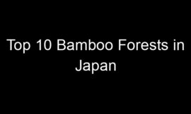 Top 10 Bamboo Forests in Japan