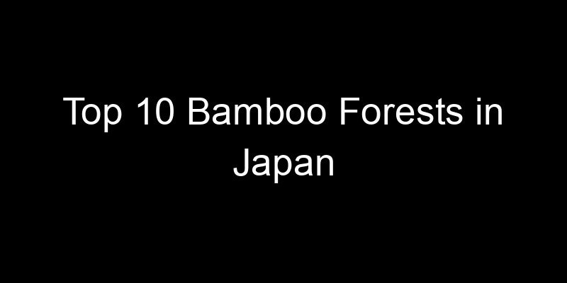 Read more about the article Top 10 Bamboo Forests in Japan
