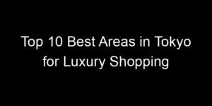 Read more about the article Top 10 Best Areas in Tokyo for Luxury Shopping