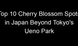 Top 10 Cherry Blossom Spots in Japan Beyond Tokyo’s Ueno Park
