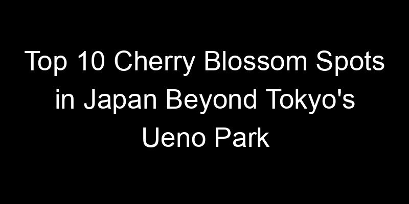 You are currently viewing Top 10 Cherry Blossom Spots in Japan Beyond Tokyo’s Ueno Park