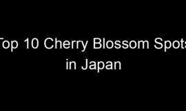 Top 10 Cherry Blossom Spots in Japan