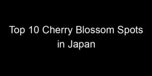 Read more about the article Top 10 Cherry Blossom Spots in Japan
