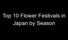 Top 10 Flower Festivals in Japan by Season