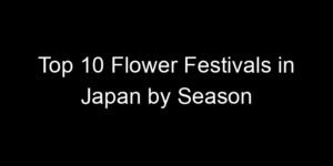 Read more about the article Top 10 Flower Festivals in Japan by Season