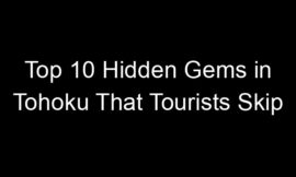Top 10 Hidden Gems in Tohoku That Tourists Skip