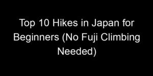 Read more about the article Top 10 Hikes in Japan for Beginners (No Fuji Climbing Needed)