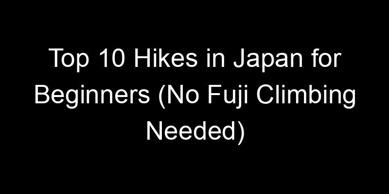 Read more about the article Top 10 Hikes in Japan for Beginners (No Fuji Climbing Needed)