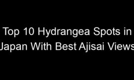 Top 10 Hydrangea Spots in Japan With Best Ajisai Views