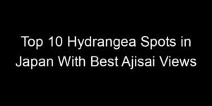 Read more about the article Top 10 Hydrangea Spots in Japan With Best Ajisai Views