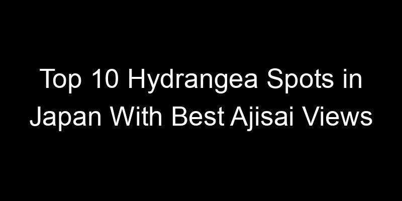 Read more about the article Top 10 Hydrangea Spots in Japan With Best Ajisai Views