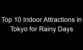 Top 10 Indoor Attractions in Tokyo for Rainy Days
