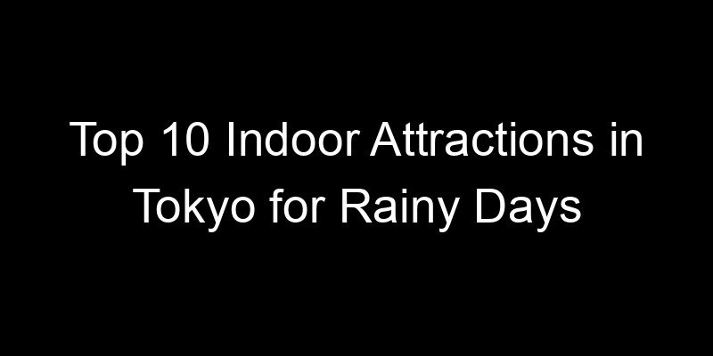 Read more about the article Top 10 Indoor Attractions in Tokyo for Rainy Days