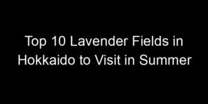 Read more about the article Top 10 Lavender Fields in Hokkaido to Visit in Summer
