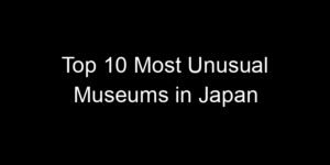 Read more about the article Top 10 Most Unusual Museums in Japan