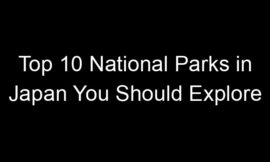 Top 10 National Parks in Japan You Should Explore