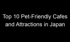 Top 10 Pet-Friendly Cafes and Attractions in Japan