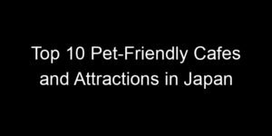 Read more about the article Top 10 Pet-Friendly Cafes and Attractions in Japan