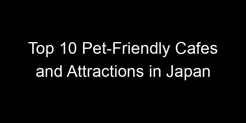You are currently viewing Top 10 Pet-Friendly Cafes and Attractions in Japan