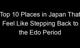 Top 10 Places in Japan That Feel Like Stepping Back to the Edo Period