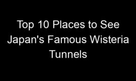 Top 10 Places to See Japan’s Famous Wisteria Tunnels