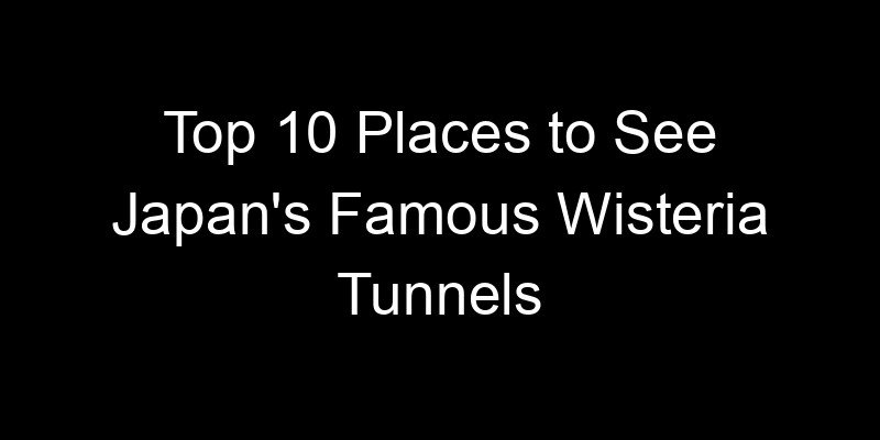 You are currently viewing Top 10 Places to See Japan’s Famous Wisteria Tunnels