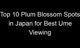 Top 10 Plum Blossom Spots in Japan for Best Ume Viewing