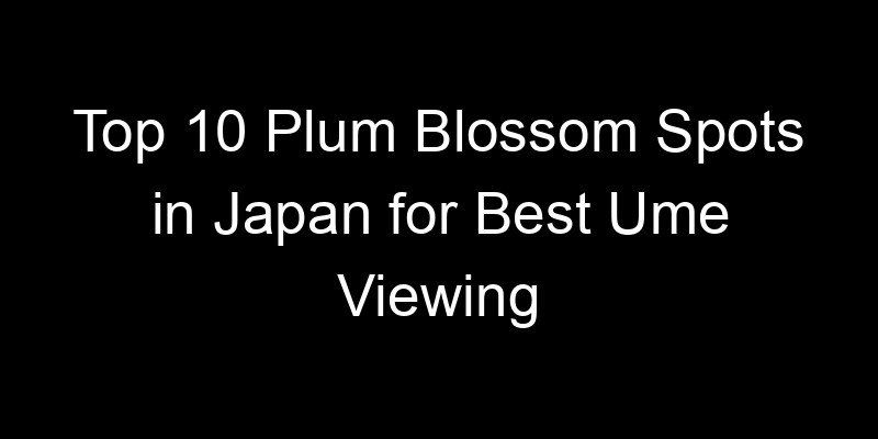 Read more about the article Top 10 Plum Blossom Spots in Japan for Best Ume Viewing