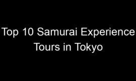 Top 10 Samurai Experience Tours in Tokyo