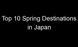 Top 10 Spring Destinations in Japan