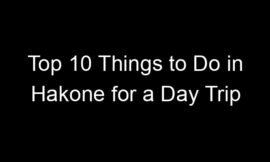 Top 10 Things to Do in Hakone for a Day Trip