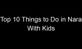 Top 10 Things to Do in Nara With Kids
