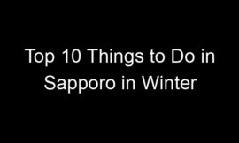 Top 10 Things to Do in Sapporo in Winter