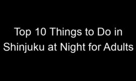 Top 10 Things to Do in Shinjuku at Night for Adults