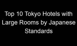 Top 10 Tokyo Hotels with Large Rooms by Japanese Standards
