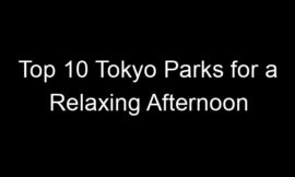Top 10 Tokyo Parks for a Relaxing Afternoon