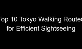 Top 10 Tokyo Walking Routes for Efficient Sightseeing