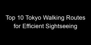 Read more about the article Top 10 Tokyo Walking Routes for Efficient Sightseeing