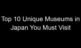 Top 10 Unique Museums in Japan You Must Visit