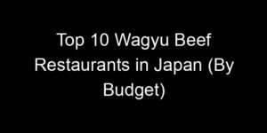 Read more about the article Top 10 Wagyu Beef Restaurants in Japan (By Budget)