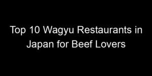 Read more about the article Top 10 Wagyu Restaurants in Japan for Beef Lovers