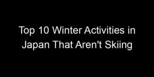 Read more about the article Top 10 Winter Activities in Japan That Aren’t Skiing