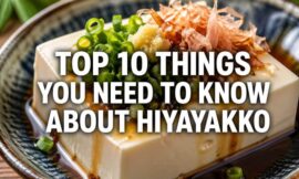 Top 10 Things You Need to Know About Hiyayakko