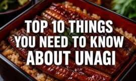Top 10 Things You Need to Know About Unagi