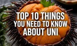 Top 10 Things You Need to Know About Uni