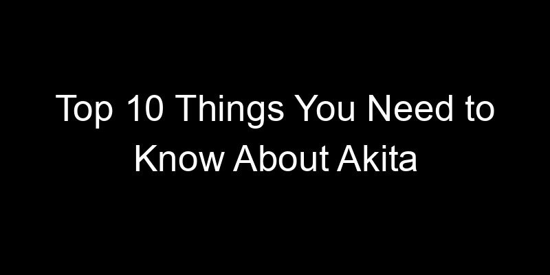Read more about the article Top 10 Things You Need to Know About Akita